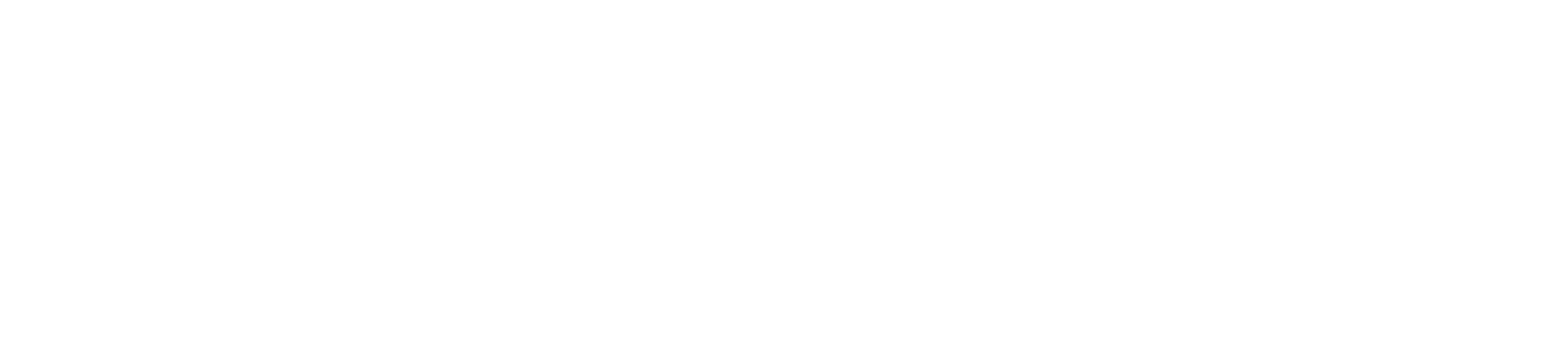 logo chcistin.cz